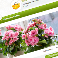 Створення інтернет-магазину з продажу квітів